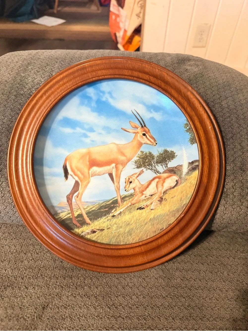 Wildlife Decorative Wall Plates - Brown Frame, Antelope Scene
